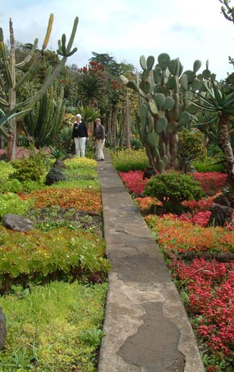 gardens in Funchal